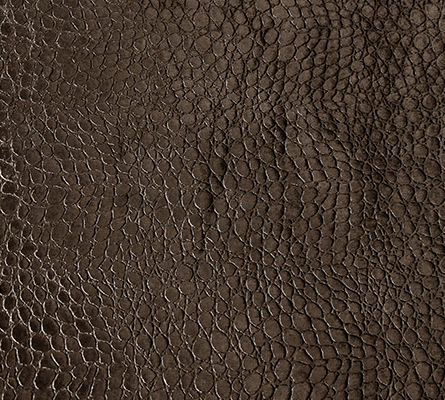 LIZARD REPTILIA CHOCOLATE Koket Love Happens