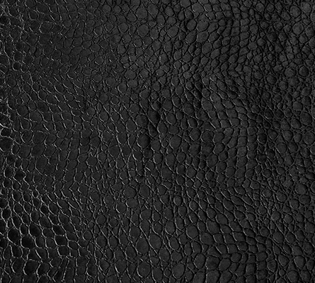 LIZARD REPTILIA JET BLACK Koket Love Happens