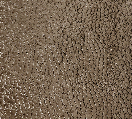 LIZARD REPTILIA TAUPE Koket Love Happens
