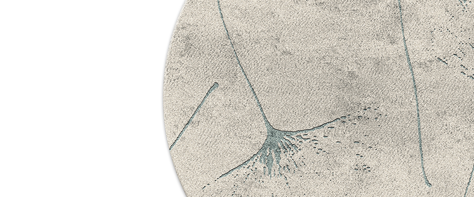 Macushi Rug  BRABBU Love Happens