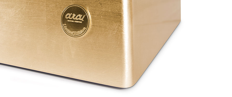 GOLD BOX TOY BOX  by CIRCU