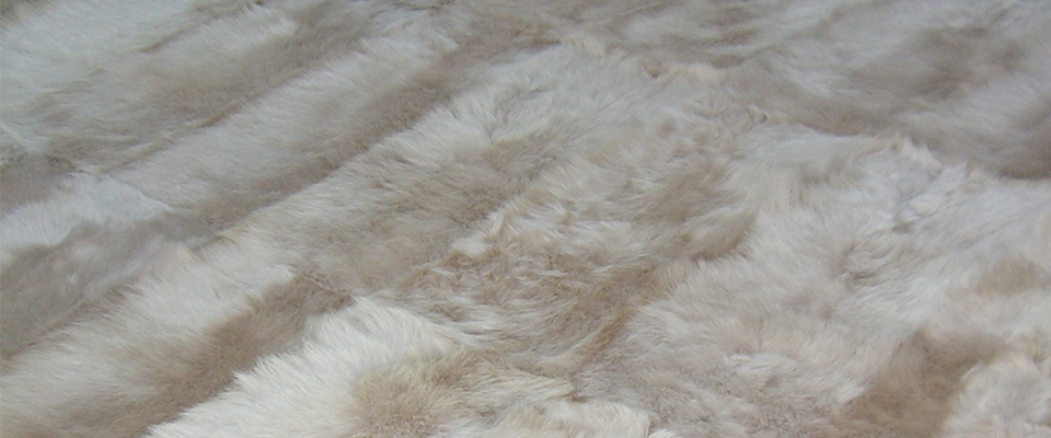 Crazy Rug Miyabi Casa Love Happens