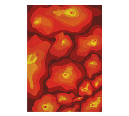 Lava Rug Rug'Society Love Happens